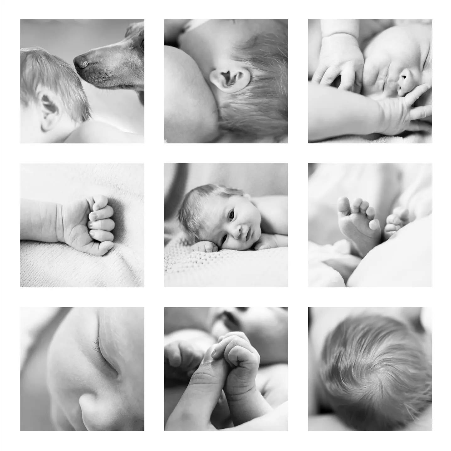 Familien-Portrait